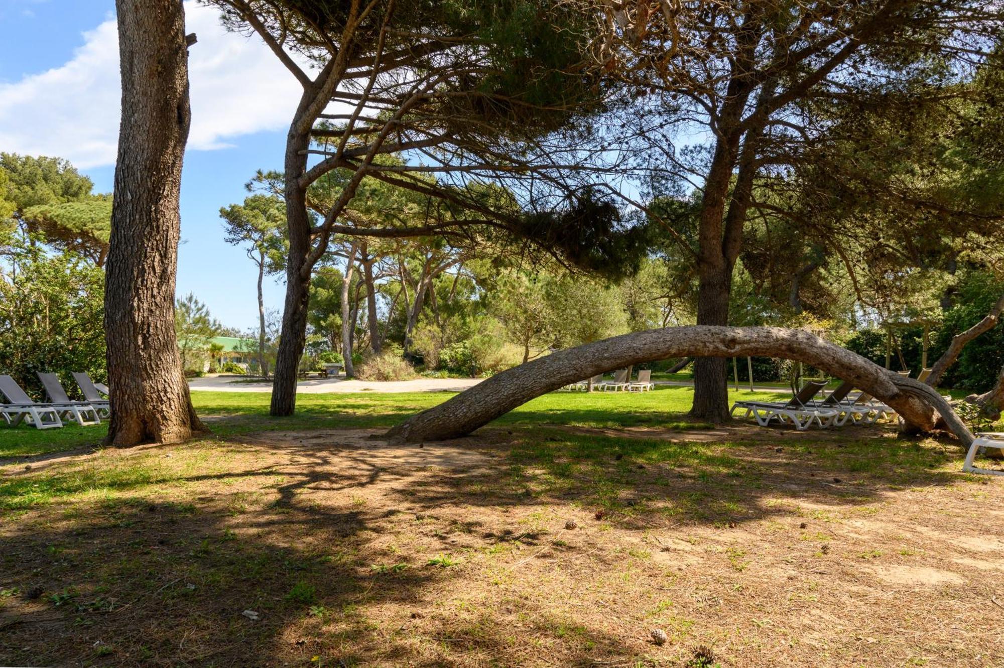 Le Studio De Giens Hyères Exterior foto